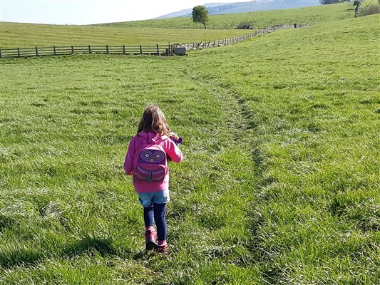 Pennine Way Bank Newton